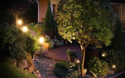 Low Maintenance Landscaping Options for Homeowners