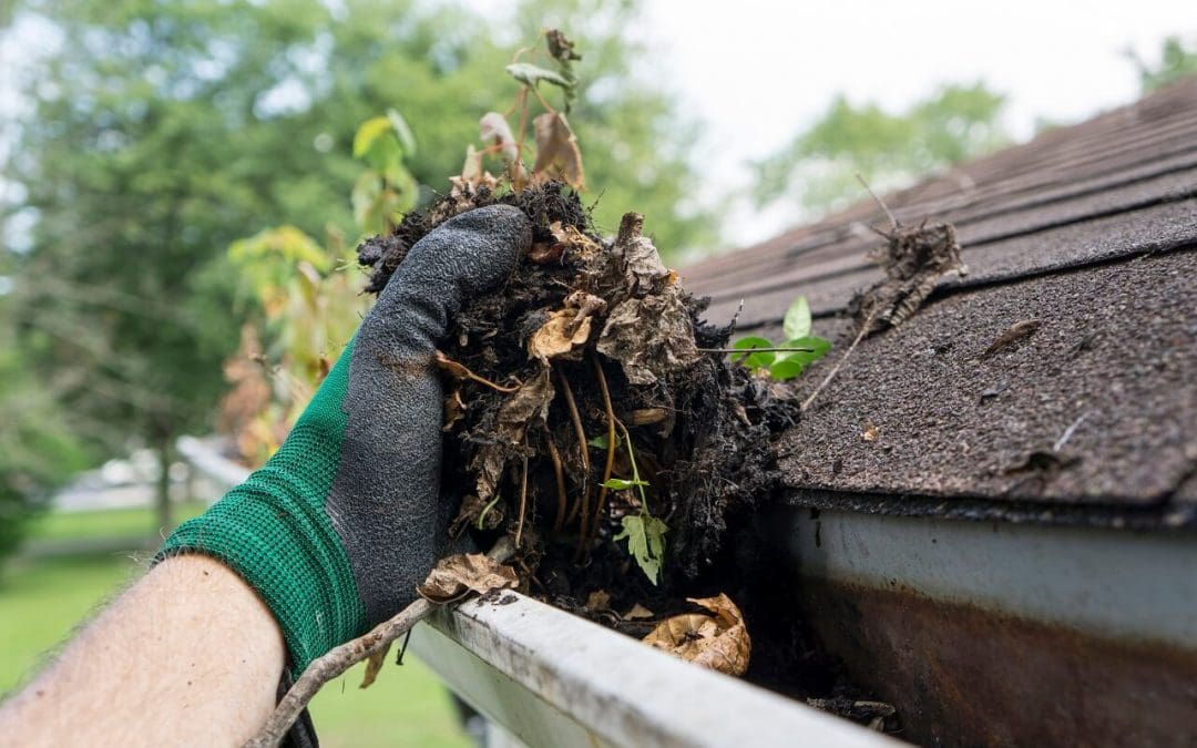 The Importance of Cleaning Gutters